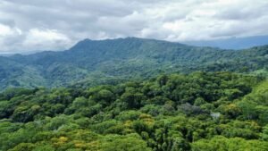 Photo-19-5-24-2-13-11 PM-1